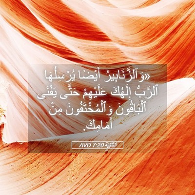Picture 05 - اَلتَّثْنِيَة 7:20 AVD - «وَٱلزَّنَابِيرُ أَيْضًا - Bible Verse Picture