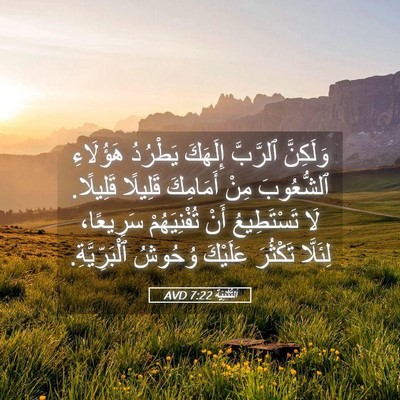 Picture 05 - اَلتَّثْنِيَة 7:22 AVD - وَلَكِنَّ ٱلرَّبَّ - Bible Verse Picture