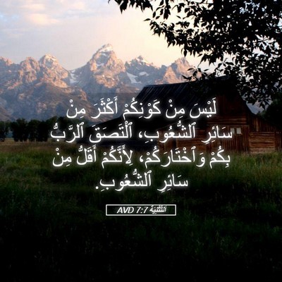 Picture 05 - اَلتَّثْنِيَة 7:7 AVD - لَيْسَ مِنْ كَوْنِكُمْ - Bible Verse Picture
