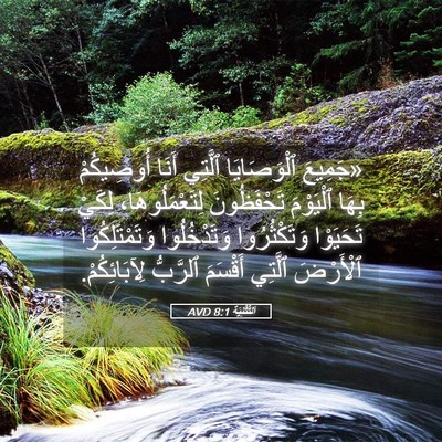 Picture 05 - اَلتَّثْنِيَة 8:1 AVD - «جَمِيعَ ٱلْوَصَايَا - Bible Verse Picture