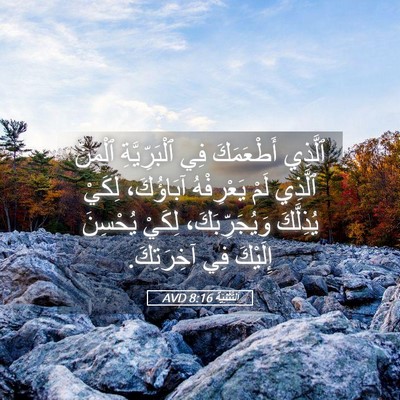 Picture 05 - اَلتَّثْنِيَة 8:16 AVD - ٱلَّذِي أَطْعَمَكَ فِي - Bible Verse Picture