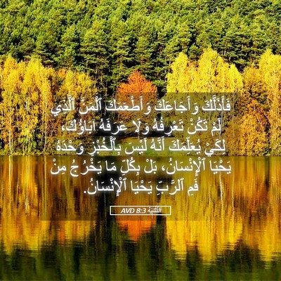 Picture 05 - اَلتَّثْنِيَة 8:3 AVD - فَأَذَلَّكَ وَأَجَاعَكَ - Bible Verse Picture