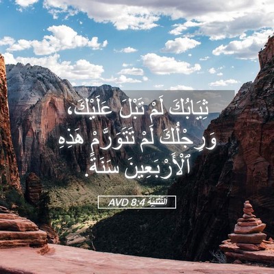 Picture 05 - اَلتَّثْنِيَة 8:4 AVD - ثِيَابُكَ لَمْ تَبْلَ - Bible Verse Picture