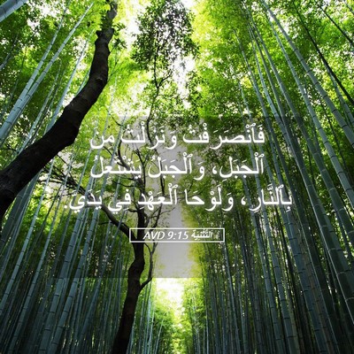 Picture 05 - اَلتَّثْنِيَة 9:15 AVD - فَٱنْصَرَفْتُ وَنَزَلْتُ - Bible Verse Picture