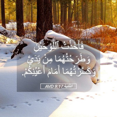 Picture 05 - اَلتَّثْنِيَة 9:17 AVD - فَأَخَذْتُ ٱللَّوْحَيْنِ - Bible Verse Picture