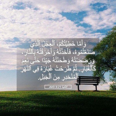 Picture 05 - اَلتَّثْنِيَة 9:21 AVD - وَأَمَّا خَطِيَّتُكُمُ، - Bible Verse Picture