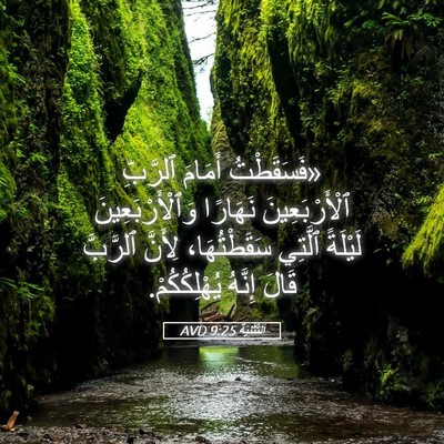Picture 05 - اَلتَّثْنِيَة 9:25 AVD - «فَسَقَطْتُ أَمَامَ - Bible Verse Picture