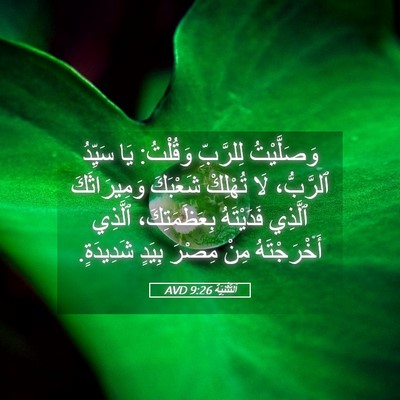 Picture 05 - اَلتَّثْنِيَة 9:26 AVD - وَصَلَّيْتُ لِلرَّبِّ - Bible Verse Picture