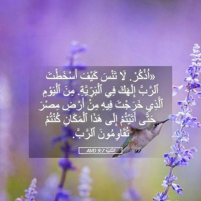 Picture 05 - اَلتَّثْنِيَة 9:7 AVD - «اُذْكُرْ. لَا تَنْسَ - Bible Verse Picture