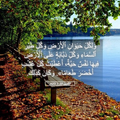 Picture 05 - اَلتَّكْوِينُ 1:30 AVD - وَلِكُلِّ حَيَوَانِ - Bible Verse Picture