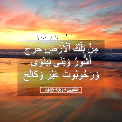 Picture 05 - اَلتَّكْوِينُ 10:11 AVD - مِنْ تِلْكَ ٱلْأَرْضِ - Bible Verse Picture
