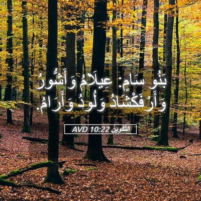 Picture 05 - اَلتَّكْوِينُ 10:22 AVD - بَنُو سَامٍ: عِيلَامُ - Bible Verse Picture