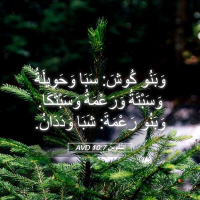 Picture 05 - اَلتَّكْوِينُ 10:7 AVD - وَبَنُو كُوشَ: سَبَا - Bible Verse Picture