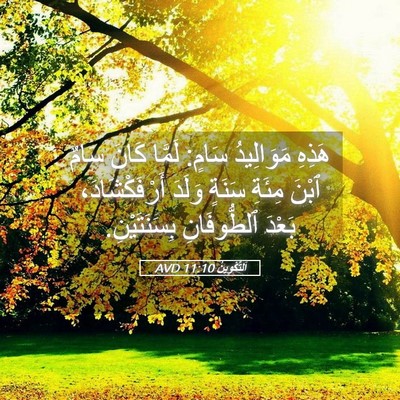 Picture 05 - اَلتَّكْوِينُ 11:10 AVD - هَذِهِ مَوَالِيدُ سَامٍ: - Bible Verse Picture