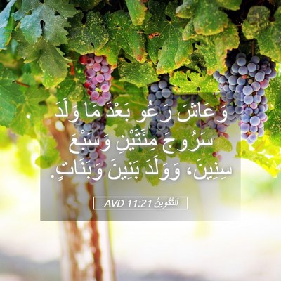 Picture 05 - اَلتَّكْوِينُ 11:21 AVD - وَعَاشَ رَعُو بَعْدَ مَا - Bible Verse Picture
