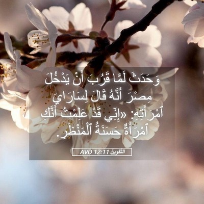 Picture 05 - اَلتَّكْوِينُ 12:11 AVD - وَحَدَثَ لَمَّا قَرُبَ - Bible Verse Picture