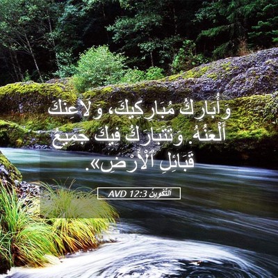 Picture 05 - اَلتَّكْوِينُ 12:3 AVD - وَأُبَارِكُ مُبَارِكِيكَ، - Bible Verse Picture