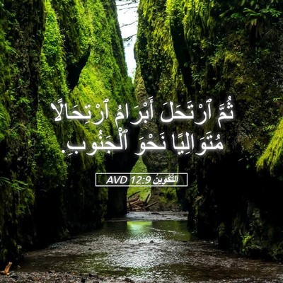 Picture 05 - اَلتَّكْوِينُ 12:9 AVD - ثُمَّ ٱرْتَحَلَ أَبْرَامُ - Bible Verse Picture