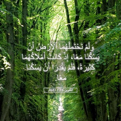 Picture 05 - اَلتَّكْوِينُ 13:6 AVD - وَلَمْ تَحْتَمِلْهُمَا - Bible Verse Picture