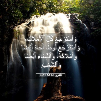 Picture 05 - اَلتَّكْوِينُ 14:16 AVD - وَٱسْتَرْجَعَ كُلَّ - Bible Verse Picture