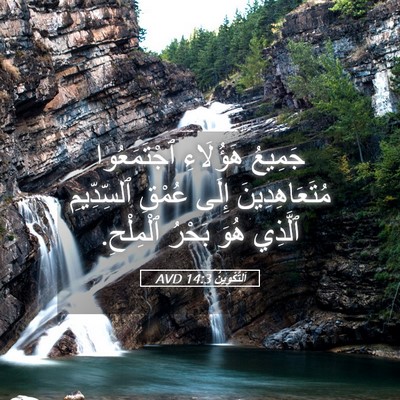 Picture 05 - اَلتَّكْوِينُ 14:3 AVD - جَمِيعُ هَؤُلَاءِ - Bible Verse Picture