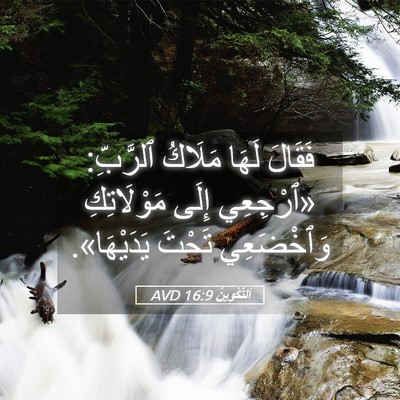 Picture 05 - اَلتَّكْوِينُ 16:9 AVD - فَقَالَ لَهَا مَلَاكُ - Bible Verse Picture