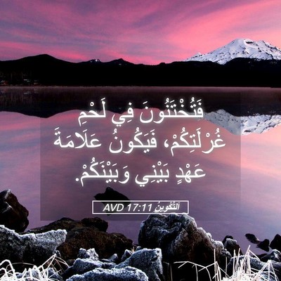 Picture 05 - اَلتَّكْوِينُ 17:11 AVD - فَتُخْتَنُونَ فِي لَحْمِ - Bible Verse Picture