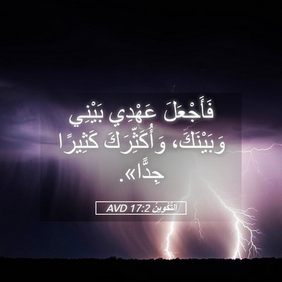 Picture 05 - اَلتَّكْوِينُ 17:2 AVD - فَأَجْعَلَ عَهْدِي - Bible Verse Picture