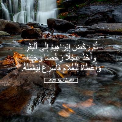 Picture 05 - اَلتَّكْوِينُ 18:7 AVD - ثُمَّ رَكَضَ إِبْرَاهِيمُ - Bible Verse Picture