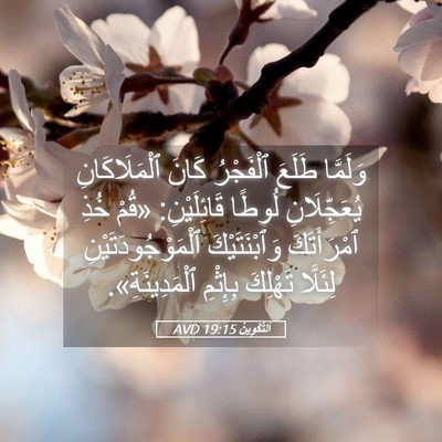 Picture 05 - اَلتَّكْوِينُ 19:15 AVD - وَلَمَّا طَلَعَ ٱلْفَجْرُ - Bible Verse Picture