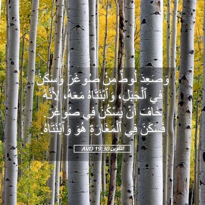 Picture 05 - اَلتَّكْوِينُ 19:30 AVD - وَصَعِدَ لُوطٌ مِنْ - Bible Verse Picture