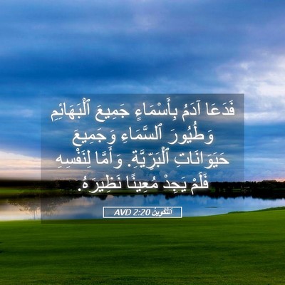 Picture 05 - اَلتَّكْوِينُ 2:20 AVD - فَدَعَا آدَمُ بِأَسْمَاءٍ - Bible Verse Picture