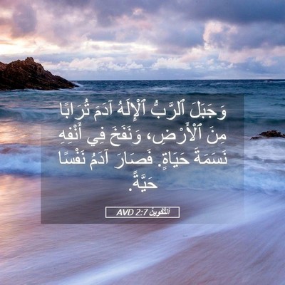 Picture 05 - اَلتَّكْوِينُ 2:7 AVD - وَجَبَلَ ٱلرَّبُّ - Bible Verse Picture