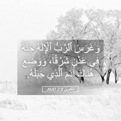 Picture 05 - اَلتَّكْوِينُ 2:8 AVD - وَغَرَسَ ٱلرَّبُّ - Bible Verse Picture