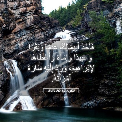 Picture 05 - اَلتَّكْوِينُ 20:14 AVD - فَأَخَذَ أَبِيمَالِكُ - Bible Verse Picture