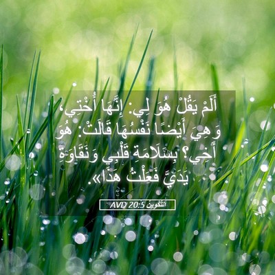 Picture 05 - اَلتَّكْوِينُ 20:5 AVD - أَلَمْ يَقُلْ هُوَ لِي: - Bible Verse Picture