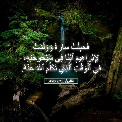 Picture 05 - اَلتَّكْوِينُ 21:2 AVD - فَحَبِلَتْ سَارَةُ - Bible Verse Picture