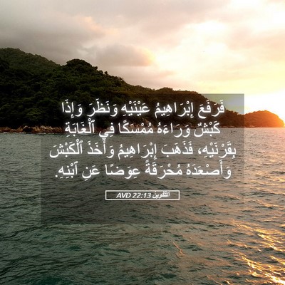 Picture 05 - اَلتَّكْوِينُ 22:13 AVD - فَرَفَعَ إِبْرَاهِيمُ - Bible Verse Picture