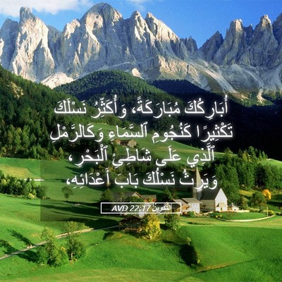 Picture 05 - اَلتَّكْوِينُ 22:17 AVD - أُبَارِكُكَ مُبَارَكَةً، - Bible Verse Picture