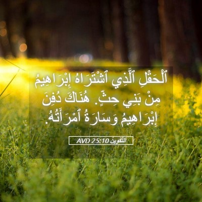 Picture 05 - اَلتَّكْوِينُ 25:10 AVD - ٱلْحَقْلِ ٱلَّذِي - Bible Verse Picture