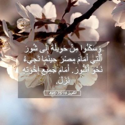 Picture 05 - اَلتَّكْوِينُ 25:18 AVD - وَسَكَنُوا مِنْ حَوِيلَةَ - Bible Verse Picture