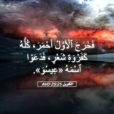 Picture 05 - اَلتَّكْوِينُ 25:25 AVD - فَخَرَجَ ٱلْأوَّلُ - Bible Verse Picture