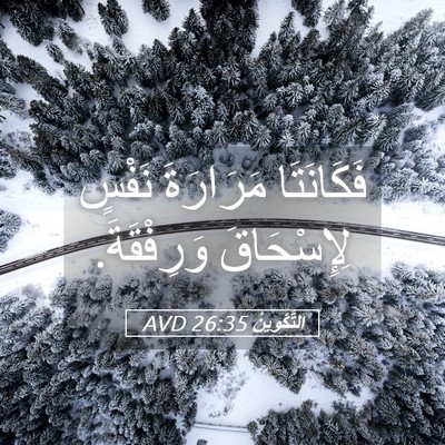 Picture 05 - اَلتَّكْوِينُ 26:35 AVD - فَكَانَتَا مَرَارَةَ - Bible Verse Picture