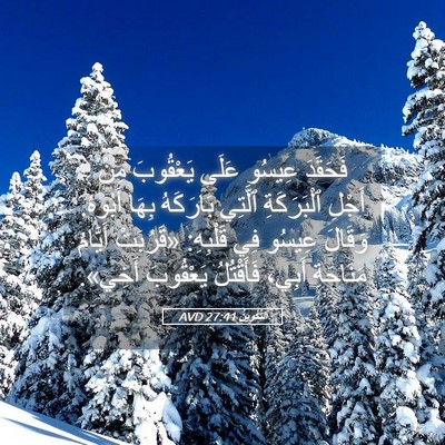Picture 05 - اَلتَّكْوِينُ 27:41 AVD - فَحَقَدَ عِيسُو عَلَى - Bible Verse Picture