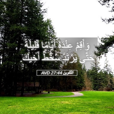 Picture 05 - اَلتَّكْوِينُ 27:44 AVD - وَأَقِمْ عِنْدَهُ - Bible Verse Picture