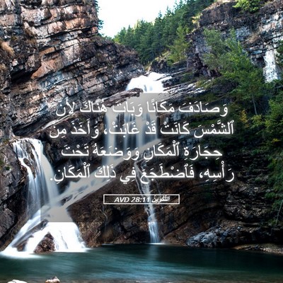Picture 05 - اَلتَّكْوِينُ 28:11 AVD - وَصَادَفَ مَكَانًا - Bible Verse Picture