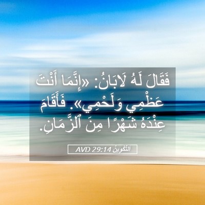 Picture 05 - اَلتَّكْوِينُ 29:14 AVD - فَقَالَ لَهُ لَابَانُ: - Bible Verse Picture