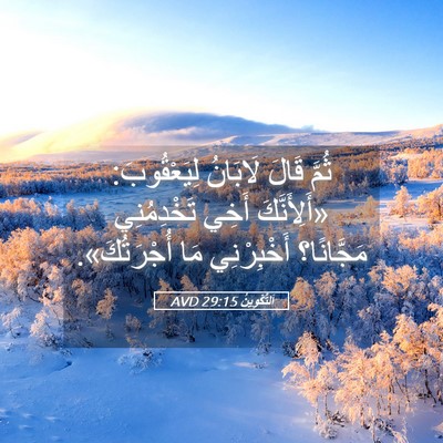 Picture 05 - اَلتَّكْوِينُ 29:15 AVD - ثُمَّ قَالَ لَابَانُ - Bible Verse Picture