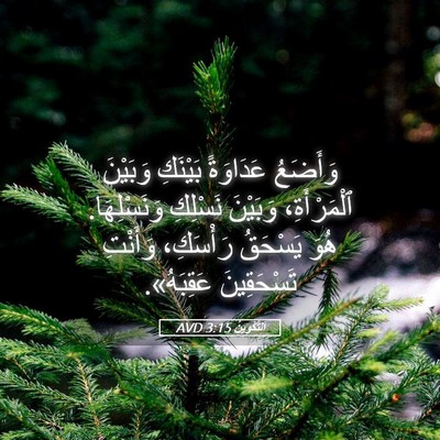 Picture 05 - اَلتَّكْوِينُ 3:15 AVD - وَأَضَعُ عَدَاوَةً - Bible Verse Picture