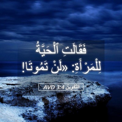 Picture 05 - اَلتَّكْوِينُ 3:4 AVD - فَقَالَتِ ٱلْحَيَّةُ - Bible Verse Picture